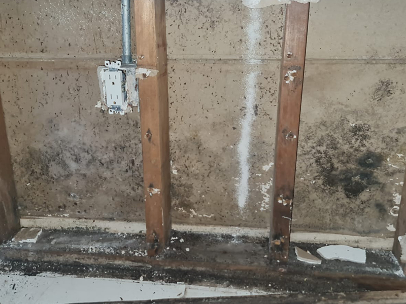 Our water restoration typical involves cleaning dangerous mold. 