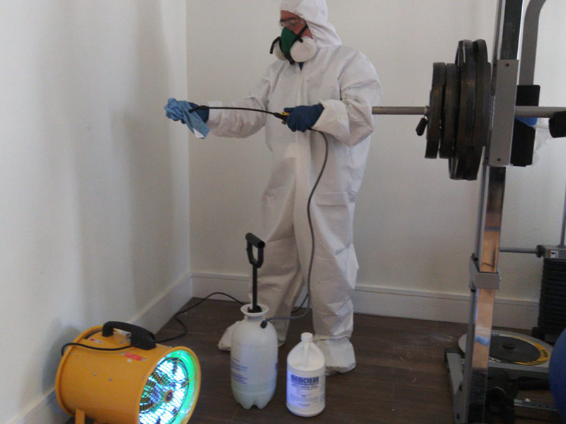 Only a professional technician should be used to properly disinfect your home. 